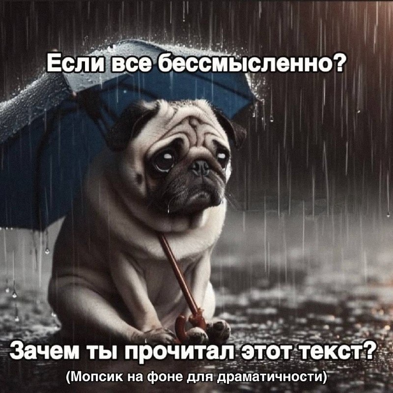 Утренняя подборочка