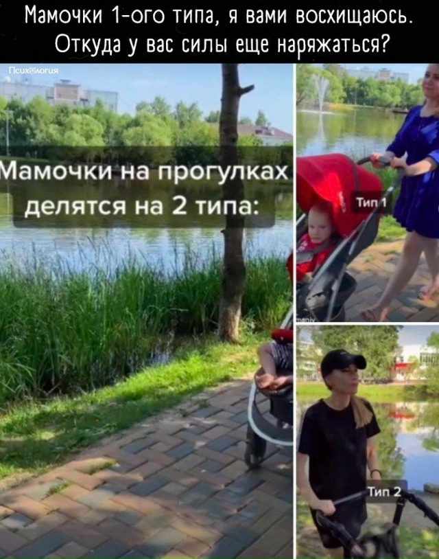 Меня бы хватило максимум на две прогулки 😅