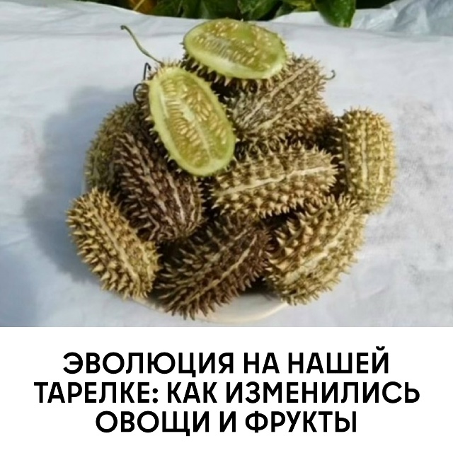 Как изменились овощи и фрукты за тысячи лет Задумывал...