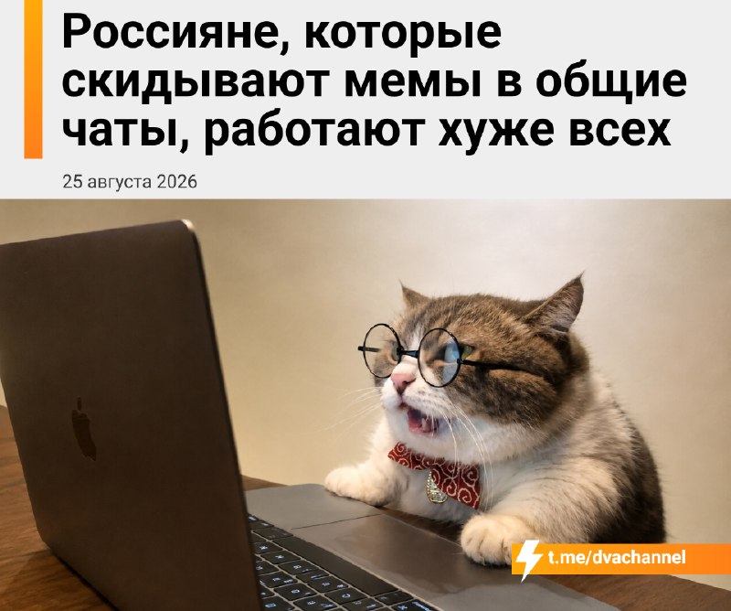 Россияне, которые активно кидают мемы в рабочие чаты, работают хуже всех, выяснили аналитики
Сотруд