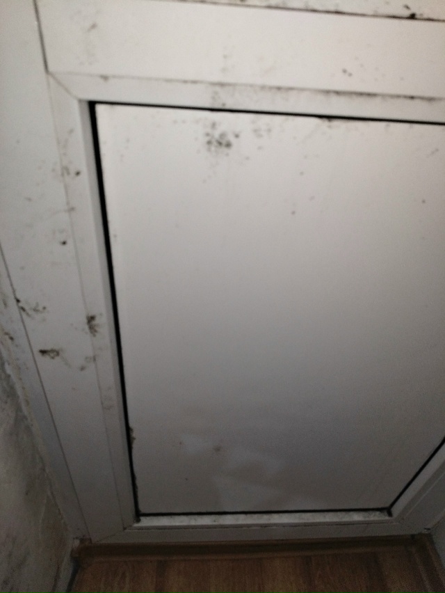 😔 Вот к чему приводит отсутствие отопления...
Космона?...