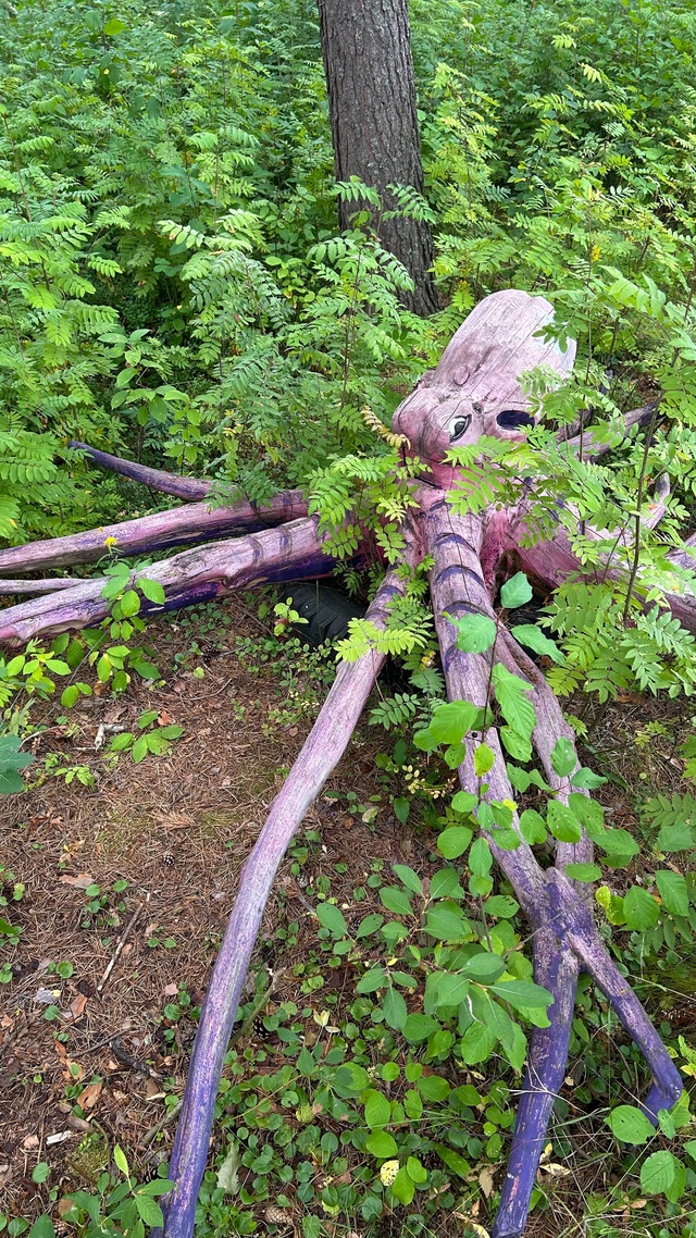 Вот такой сказочный парк есть в п. Аргуновский Вельско?...