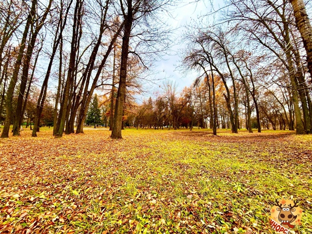 Доброе утро ☔