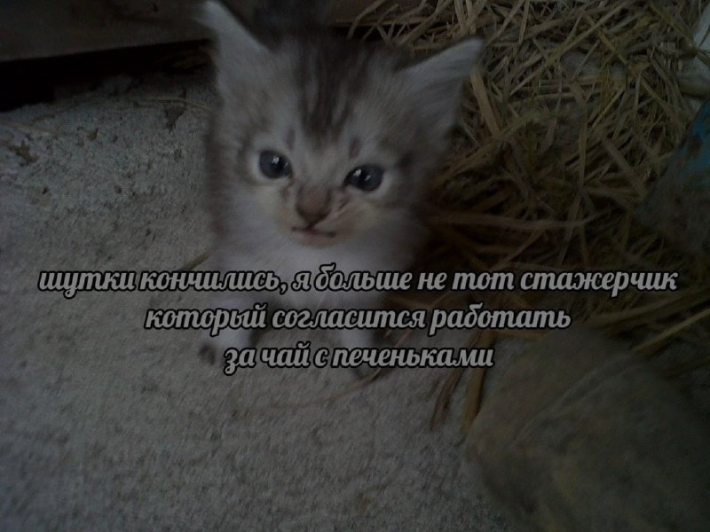 Ночная подборочка
Спать, режим