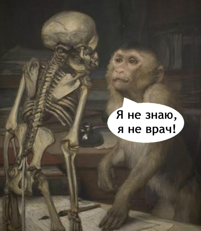 Что за жиза!