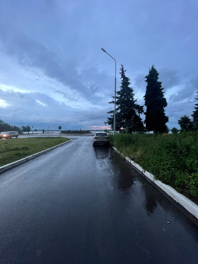 А вам не кажется, что слишком низко?
Любая газель, и зна...