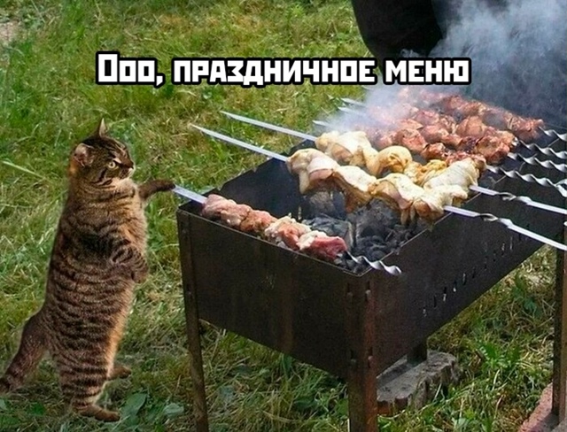 ??Сегодня отмечается Всемирный день жареного мяса.
...