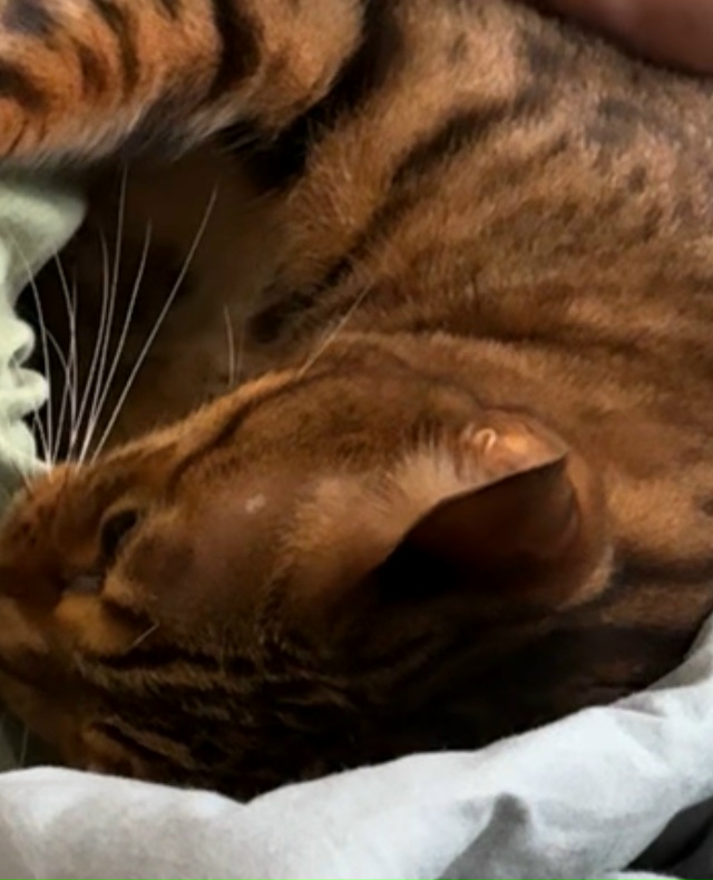 Беляная гора и ближайшие! До сих пор продолжаем поиски ...