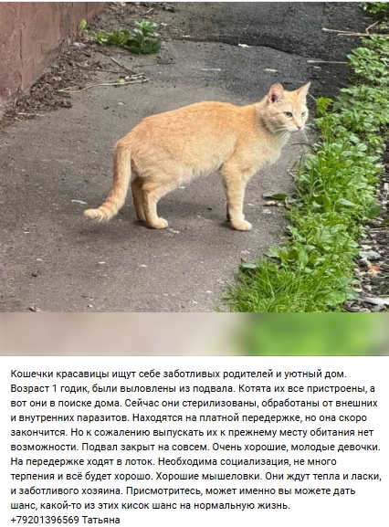 Пост добра. Распространите, пожалуйста.