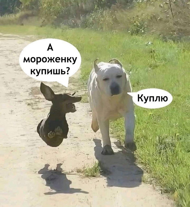 Обычная прогулка с мужем 😅