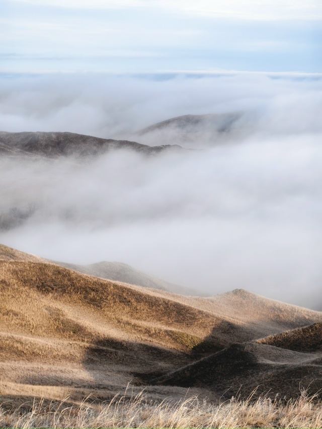 👉 Ноябрь — месяц туманов! 🌫
🍂 Осенняя пора окутыва...