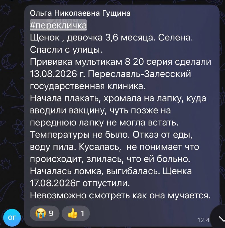 ⚡️В России начались массовые смерти собак после вакцинации от бешенства препаратом «Мультикан-8», пи