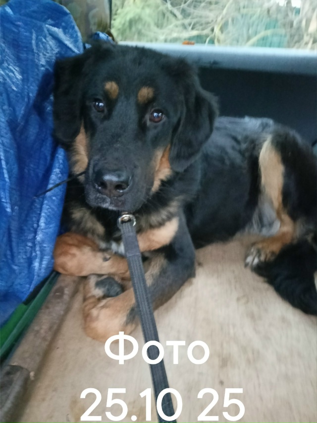 Админ и все неравнодушные люди , которые помогали нам в...