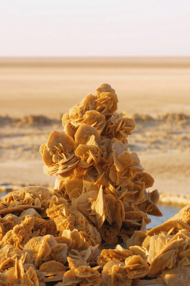 Настоящее чудо природы - камень/минерал «Роза пустыни»...