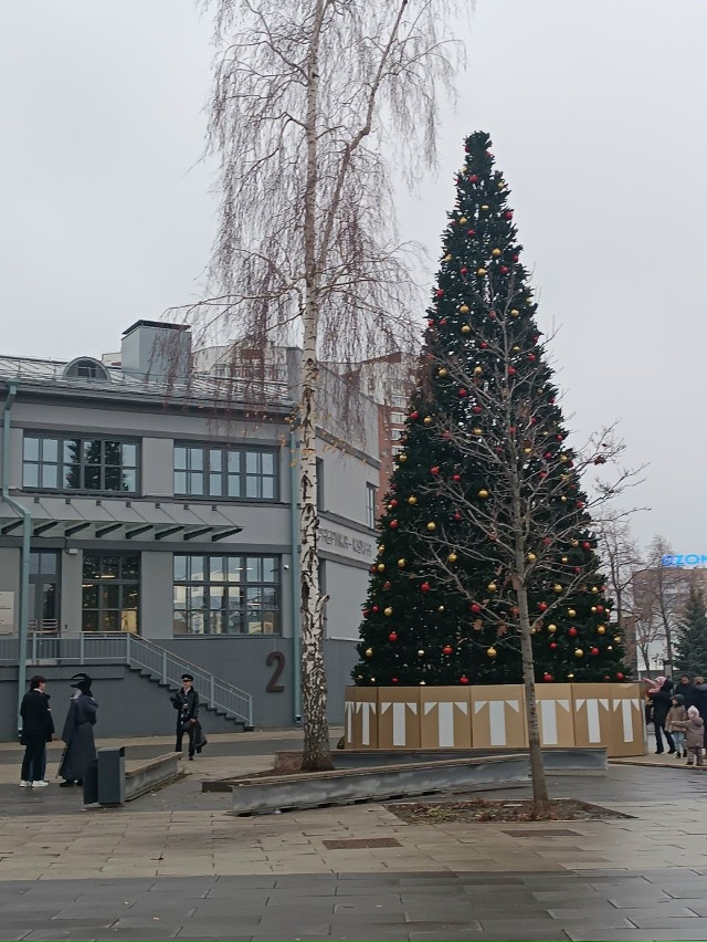 Напротив ЗИМа, установили новогоднюю елку, город посте...