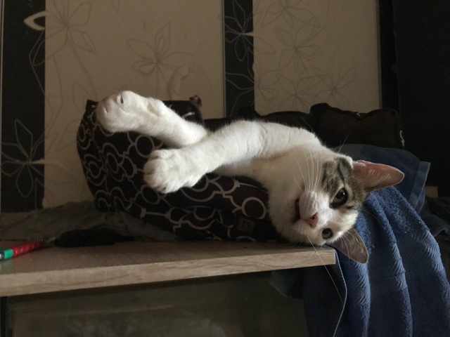 Батон интересуется : )) А Вы на Таити то были?))