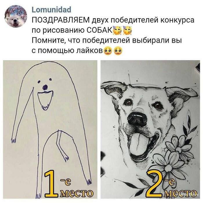 Именно так выглядит настоящая демократия