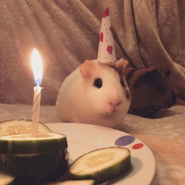 Подслушано Отрадное на Неве! Поздравляет с Днём Рожден...