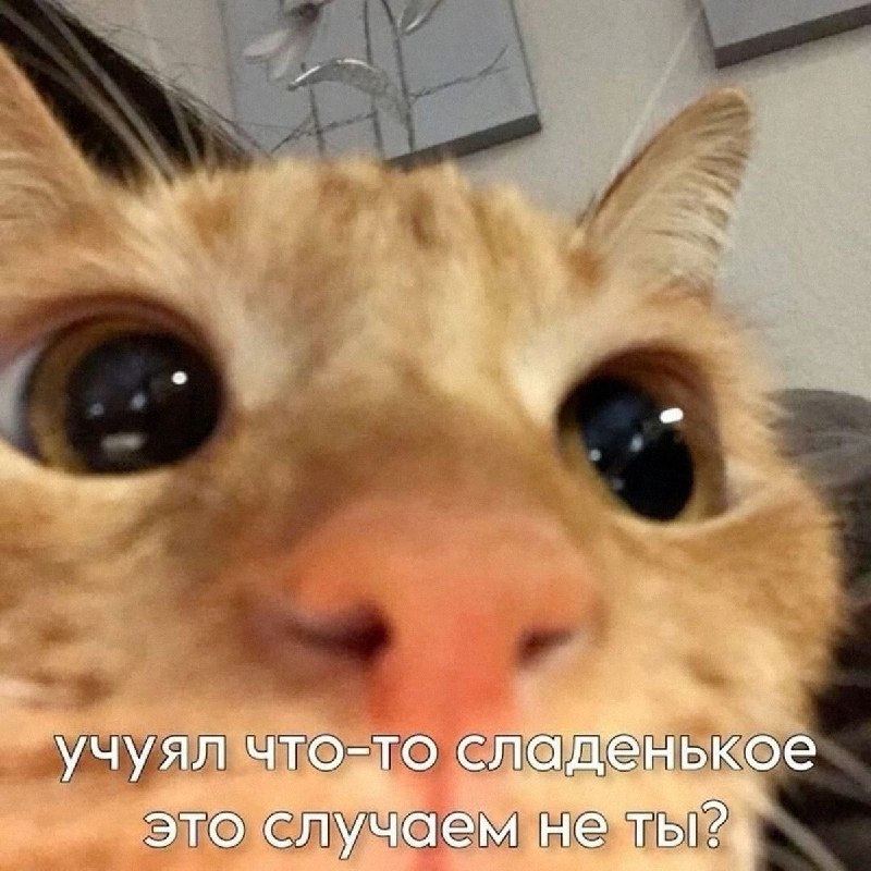 Утренняя подборочка