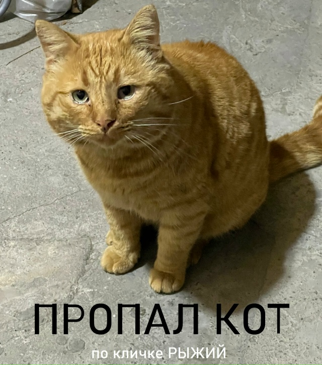 Добрый день всем добрым людям)
Прошу вашей помощи 🙏 Пр...