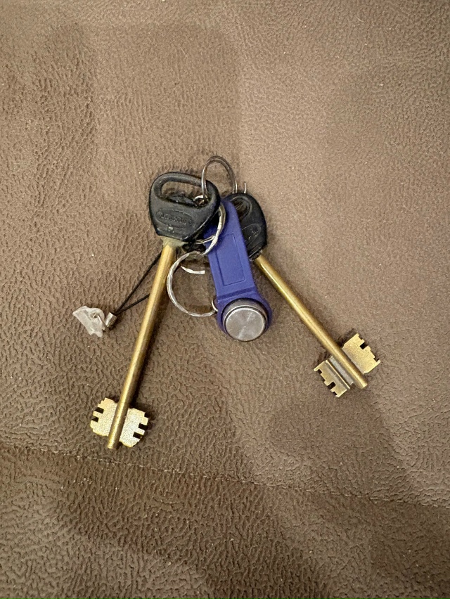 Ребенок сегодня нашёл ключи в центре г. Ростова на ул. М...