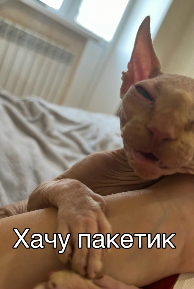 Совсем недавно Владимиру миновало 4 месяца.
Про всрато...