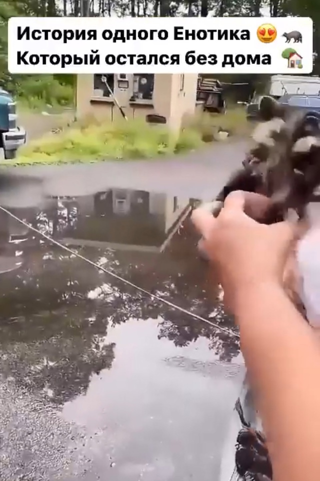 Дом разрушен, но нашли альтернативу.