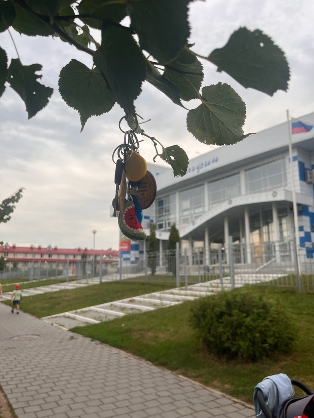 На дороге ,около ФОК «Дельфин» валялись ключи.Повесили...