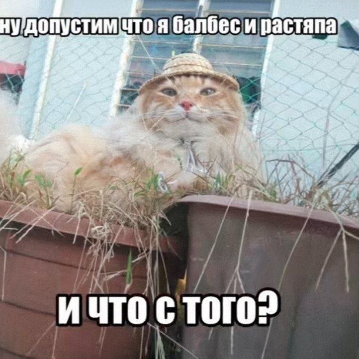 Утренняя подборочка