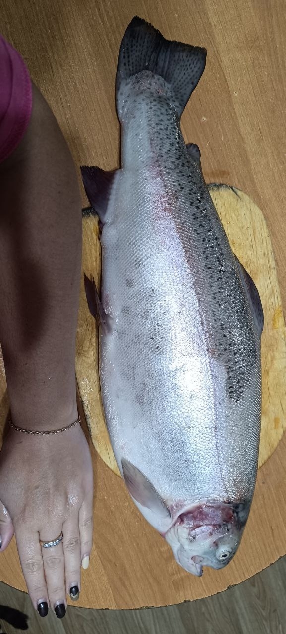 ❗️❗️❗️ВНИМАНИЕ❗️❗️❗️
❣️❣️❣️ОБЪЯВЛЯЕМ НОВЫЙ...