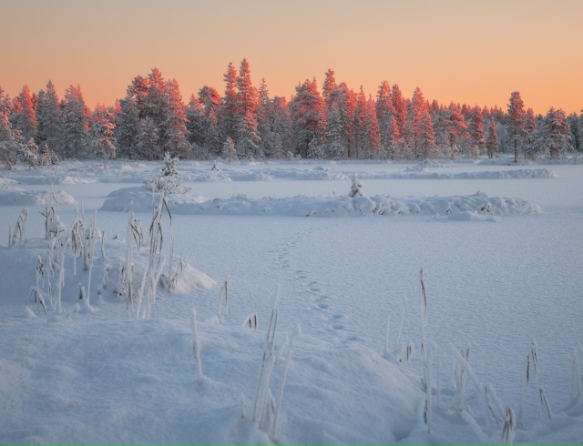 На закате за Апатитами.
[id143810580|Виталий Истомин]