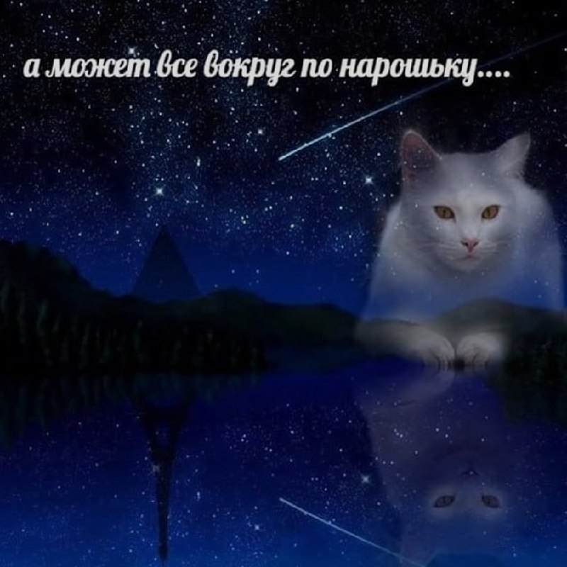 Ночная подборочка
Спать, режим