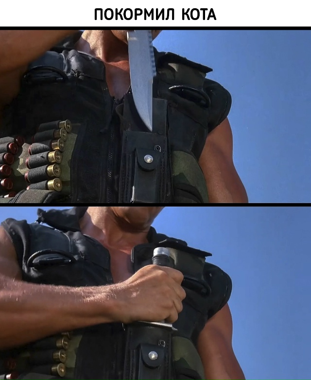 Те самые заветные моменты счастья