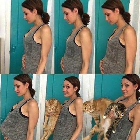 На вопрос про детей, у меня есть ответ😂