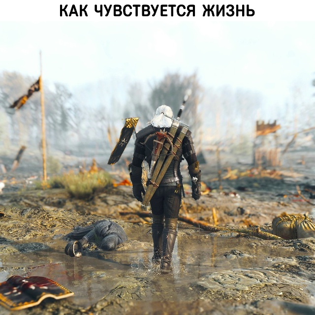 Это мирная жизнь