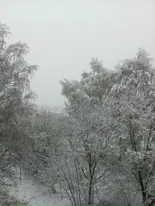 ❄ Первый снег в Коврове. Анон