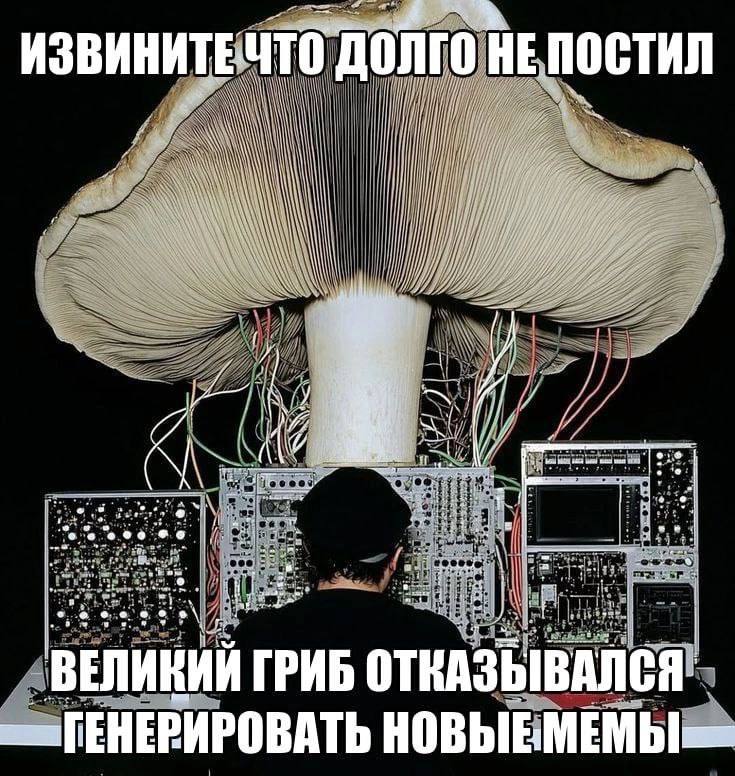 Утренняя подборочка