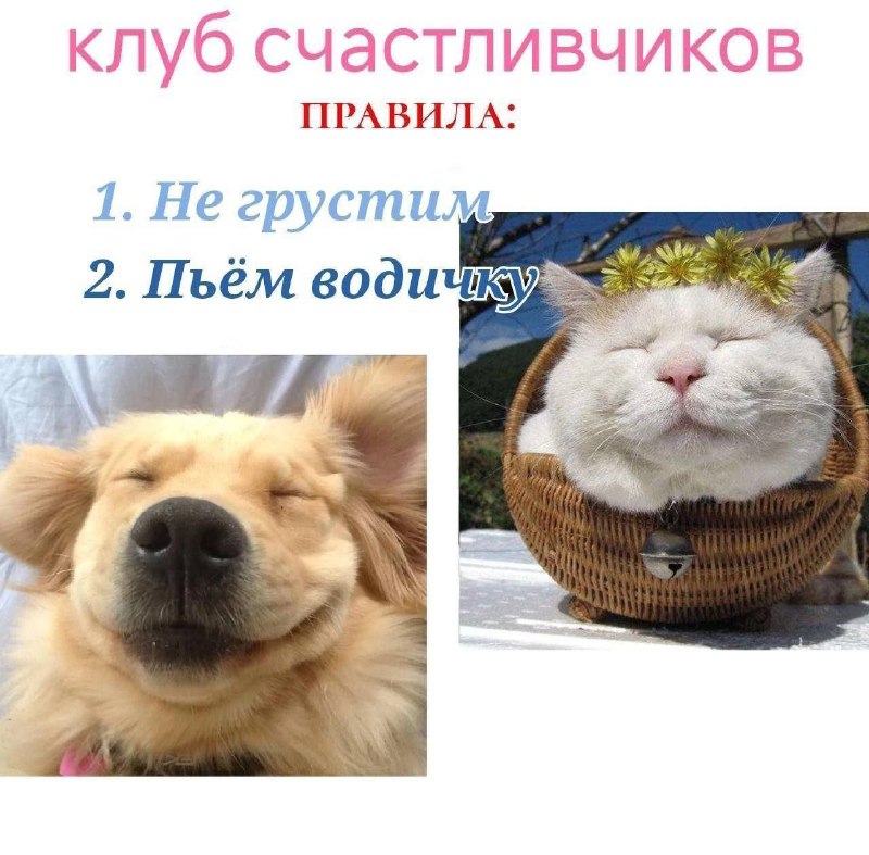 Утренняя подборочка