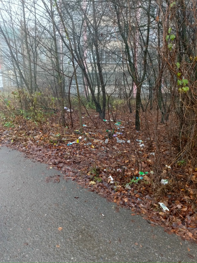 ❗Подписчики делятся 