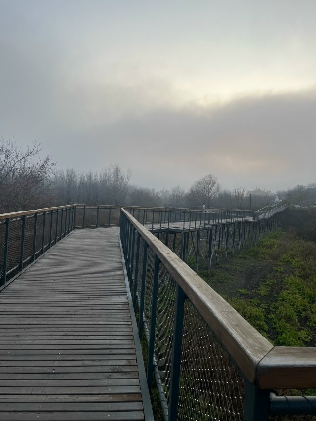 ️Доброе утро! Прогноз погоды на 19 ноября В Оренбурге ?...