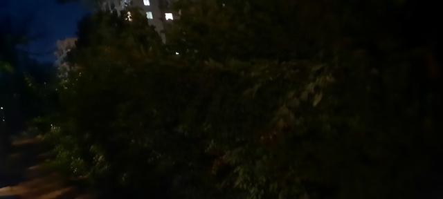 Почему перестали обрезать кусты по правой стороне от с...
