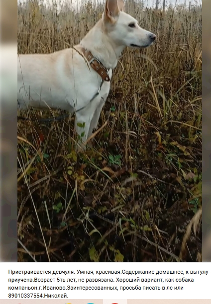 Пост добра. Распространите, пожалуйста.