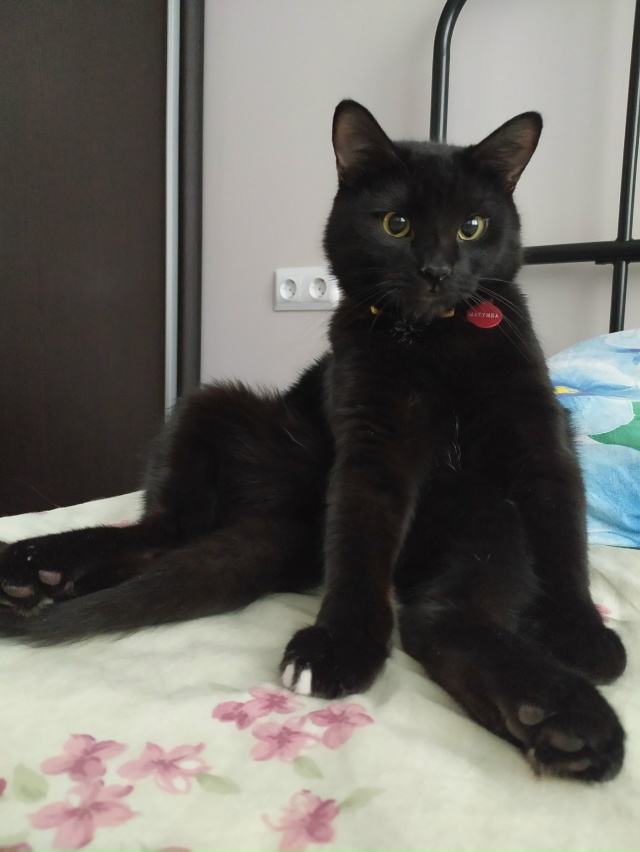 Как жаль что еда такая вкусная
1 год/5 лет