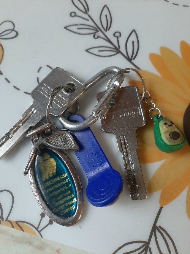 Найдены ключи на обочине, в сторону Боровичей
Пишите в...