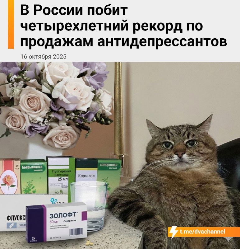❗️Россияне этой осенью массово впали в депрессию — за полтора месяца на антидепрессанты потратили 13