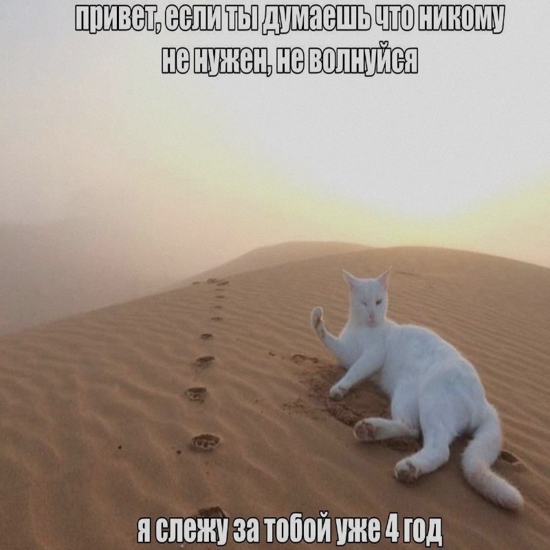 Ночная подборочка
Спать, режим