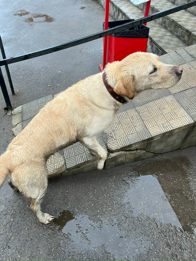 На улице Сахарова, рядом с магазином пятерочка, в район...