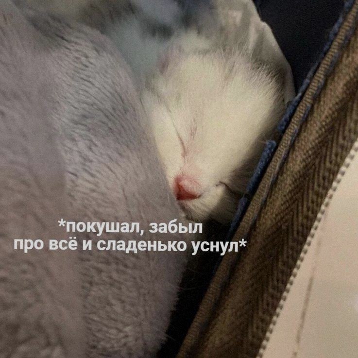 Ночная подборочка
Выходные, не спим
