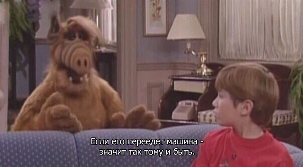 Такая жизненная мудрость😂