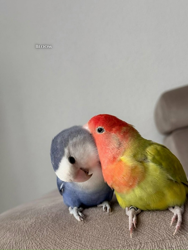 Они вместе уже 12 лет